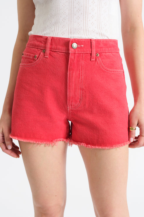 Trouble Maker High Rise Shorts